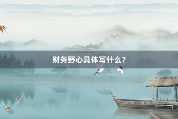 财务野心具体写什么？